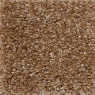 Shaw Floors Zipp Parsnip SHAW