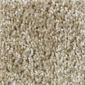 Shaw Floors Play Hard African Safari SHAW