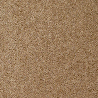 Shaw Floors XV071 Pebble Walk SHAW