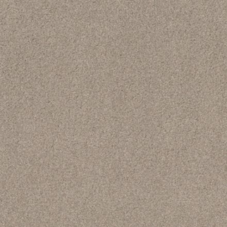 Tuftex Cozy Harbor I Sandstone SHAW