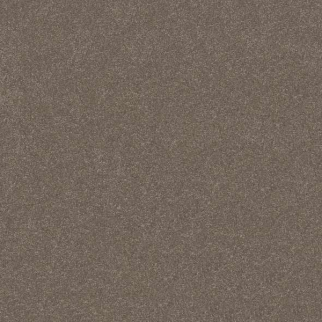 Shaw Floors Hard At Play II 12' Cobblestone SHAW