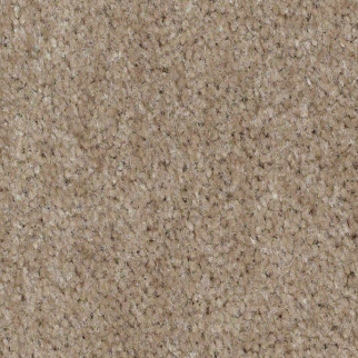 Shaw Floors XV071 Creek Side SHAW