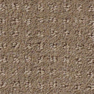 Shaw Floors My Choice Pattern Flax SHAW