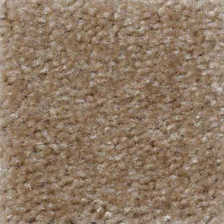 Shaw Floors Zipp Sequoia SHAW