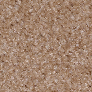 Shaw Floors Zipp Plus Stucco SHAW