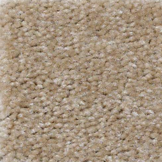 Shaw Floors Zipp Plus Pebble SHAW