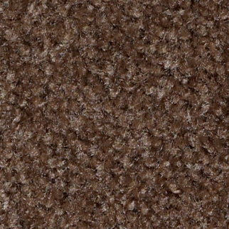 Shaw Floors Zipp Plus Fudge SHAW