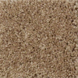 Tuftex Serendipity I Sable SHAW