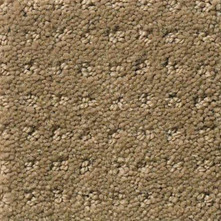 Shaw Floors My Choice Pattern Cappuccino SHAW