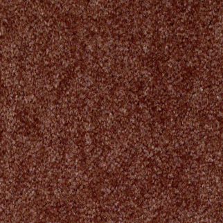 Shaw Floors XV071 Dried Clay SHAW