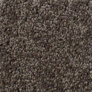 Shaw Floors My Choice II Chocolate SHAW