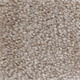 Shaw Floors Zipp Brown Derby SHAW