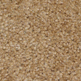 Shaw Floors Zipp Plus Pinecone SHAW