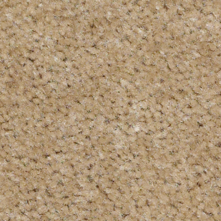 Shaw Floors Zipp Plus Stone SHAW