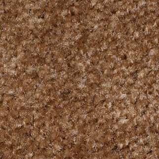 Shaw Floors Zipp Plus Toffee SHAW