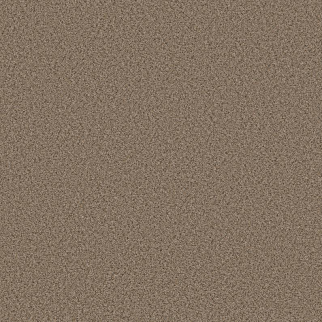 Shaw Floors Abilene I Arrowhead SHAW