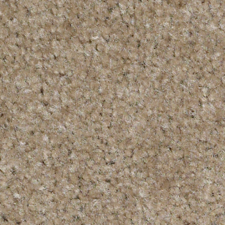 Shaw Floors Zipp Plus Boulder SHAW