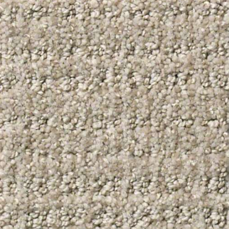 Shaw Floors Sensible Now Park Avenue SHAW