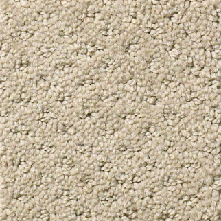 Shaw Floors Infallible Instinct Park Avenue SHAW