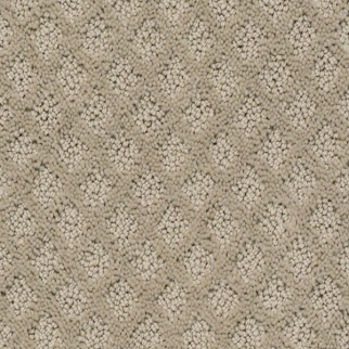 Shaw Floors Entwined With You Park Avenue SHAW