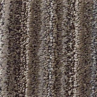 Tuftex Wizard Of Paws Bear In Mind SHAW