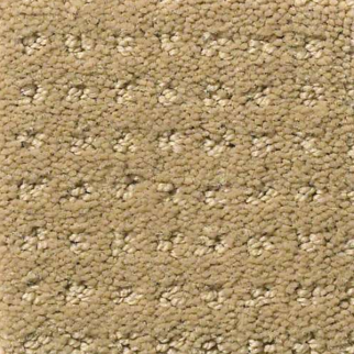 Shaw Floors Perpetual Move Warmth SHAW