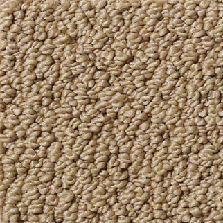 Shaw Floors Smart Thinking Warmth SHAW