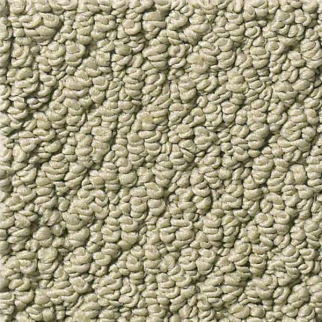 Shaw Floors Smart Thinking Mocha SHAW