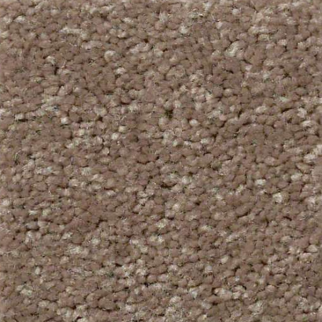 Shaw Floors Essay II 12' Owl SHAW