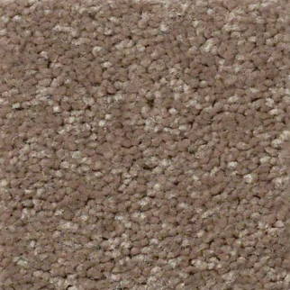 Shaw Floors Essay II 15' Owl SHAW