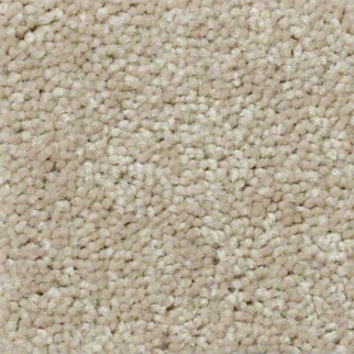 Shaw Floors Essay II 12' Field Khaki SHAW