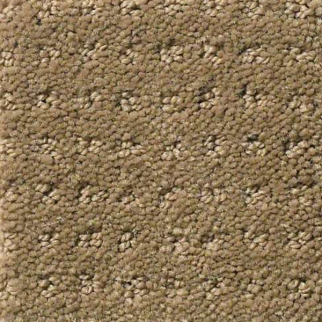 Shaw Floors Perpetual Move Grounded SHAW