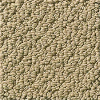 Shaw Floors Smart Thinking Grounded SHAW