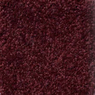 Shaw Floors Magic At Last II 12' Radish SHAW