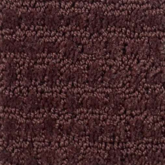 Shaw Floors Activate Berry SHAW