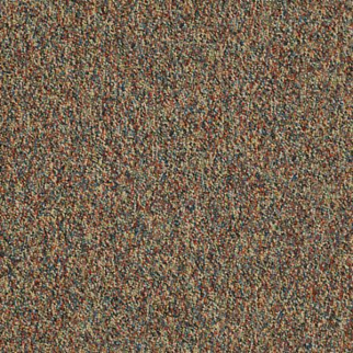 Shaw Floors Invincible 26 Riviera SHAW