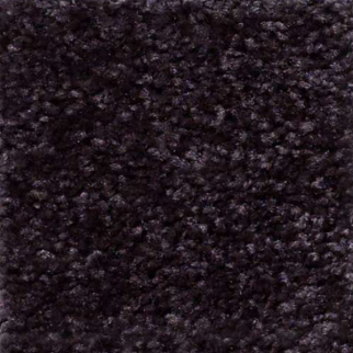 Shaw Floors Jet Set Plum SHAW