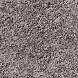 Shaw Floors My Choice II Sepia SHAW