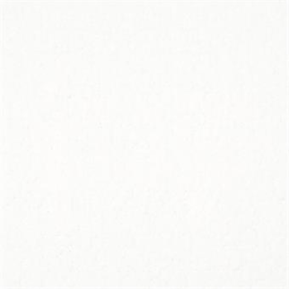 Masland Carpets Matisse Ultra White Masland