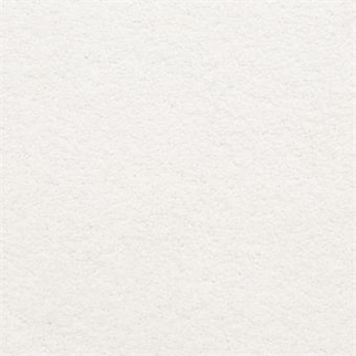 Masland Carpets Knockout Pure Masland