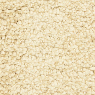 Masland Carpets Shangri-La Too Paradise Masland