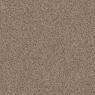 Shaw Floors Canyon Lake Sheffield SHAW