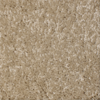 Phenix Carpets Daybreak MO Measurement PHENIX