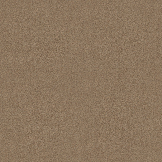 Shaw Floors Canyon Lake Terrazzo SHAW