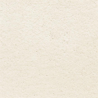 Masland Carpets Ravishing Glamorous Masland