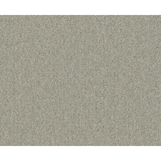 Shaw Floors Your Comfort I Willow Tree SHAW