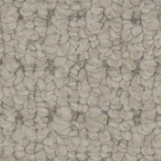 Phenix Carpets Cardigan Gale PHENIX