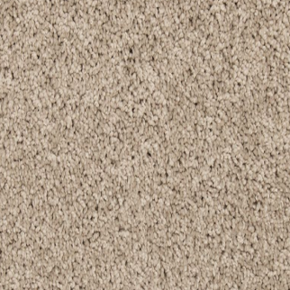 Mohawk Carpet Renovate I 12 Birdbath Mohawk