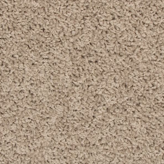 Mohawk Carpet Revive Birdbath Mohawk