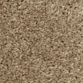 Phenix Carpets Paradigm MO Daydream PHENIX